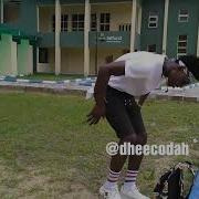 Unique Nelson Zinoleesky Ft Zlatan Money Dance Video