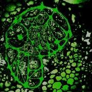 икра экскаватора фбфбджжж Fresh Brains For Baby Jesus 2019 Cybergrind Noisegrind