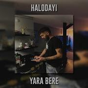 Halodayı Yara Bere Speed Up