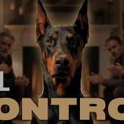 This Dog Controls The Room Without Moving