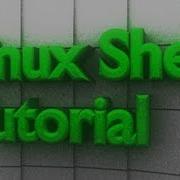 Shell Script What Shell Am I Running Linux BASH Zsh Tutorial