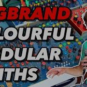A Colourful Modular Synthesizer Who What Is BugBrand