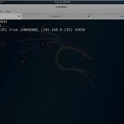 Netcat Reverse Shell