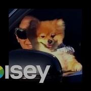 Jim E Stack Deadstream Official Music Video