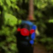 A Walk In The Woods Title Sequence