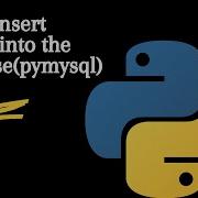 PyQt5 Insert Values Into The Database Pymysql
