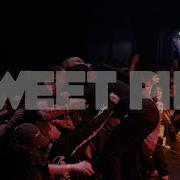 Sweet Pill Outbreak Fest 2024