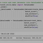 11 Turning Our Image Datasets Into PyTorch Dataloaders