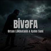 Aydın Sani Orxan Löhbatanlı Bivəfa Anatolian Psychedelic Rock