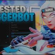I Used The BEST Valorant Triggerbot In Radiant Lobbies Th Results Were Insane