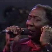 Muddy Waters The Living Legends Of Blues
