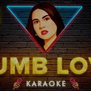 Mimi Webb Dumb Love 8K Video Karaoke Version