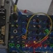 BWeevil Vs BugModular