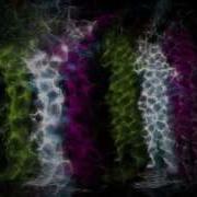 Kinect Interactive Dance Show