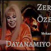 Zerrin Özer Dayanamıyorum