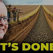 Australia Built A Massive Toad Barrier To Stop Cane Toads And The Science Behind It Is Genius