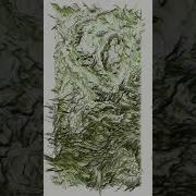Let S Get Higher Creative Coding With P5 Js