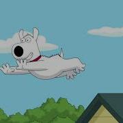 Family Guy Brian Proves Quagmire That He S A Cat