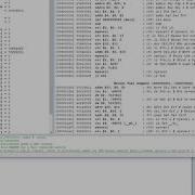 MIPS Division Using QTSPIM