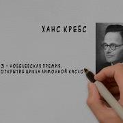 Для чего нам нужен кислород