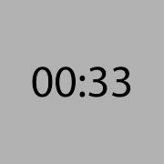 Professional 33 Second Timer
