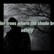 Bones TheHealingFields Lyric Video