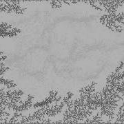 Diffusion Limited Aggregation Perlin Noise Flow Field