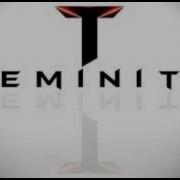 Dubstep Teminite Flight