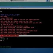 Supplement 7 4 4 Adding Parts Of Changes Git Add P