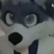 Packgod Vs Omegle Furry PARTIAL RECREATION