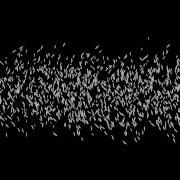 EXPLODING Text Motion 5