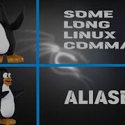 Упростите себе жизнь с помощью псевдонимов с участием Kali Linux KaliLinux Псевдонимы Команд