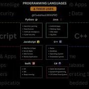 Programming Languages And Their Uses Java Python Programming Shortsfeed Shorts Coding Asmr