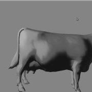 View Dependent Texture Mapping Renderer