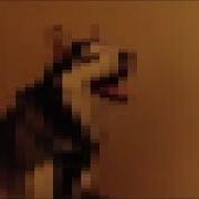 Digital Dog Sneeze