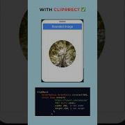 Rounded Flutter Images In 10 Seconds Too Easy