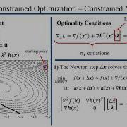 Newton S Method For Constrained Optimization Problems