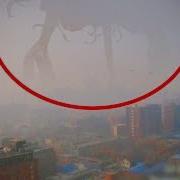 10 Mysterious Giant Creatures Caught On Tape