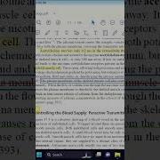 How To Use Annotation Or Comment Tool In Adobe New Video Chemistry