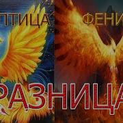 ЖАР ПТИЦА И ФЕНИКС КАКАЯ МЕЖДУ НИМИ РАЗНИЦА