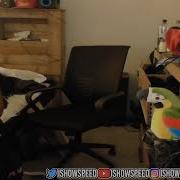 IShowSpeed S Parrot Sings Super Idol