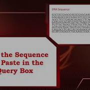 Reverse Complement Sequence
