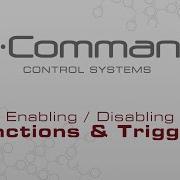 IN Command 1st Generation Enabling Disabling Functions Triggers