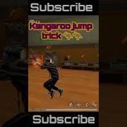 Kangaroo Jump Bug