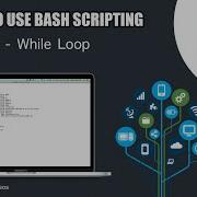 BASH SCRIPTING TUTORIAL 13 WHILE LOOP