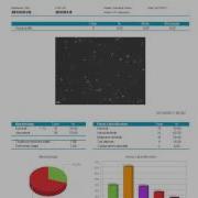 SCA Tutorial Get A Report Print It Or Export To Pdf