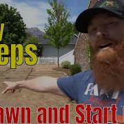 How To Kill My Lawn And Start Over 4 Easy Steps