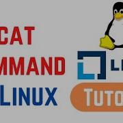 Linux Command Line Basics Tutorials Cat Command In Linux