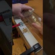 Cutting Glass Bottle Shorts