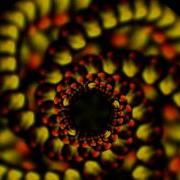 Video Feedback 02